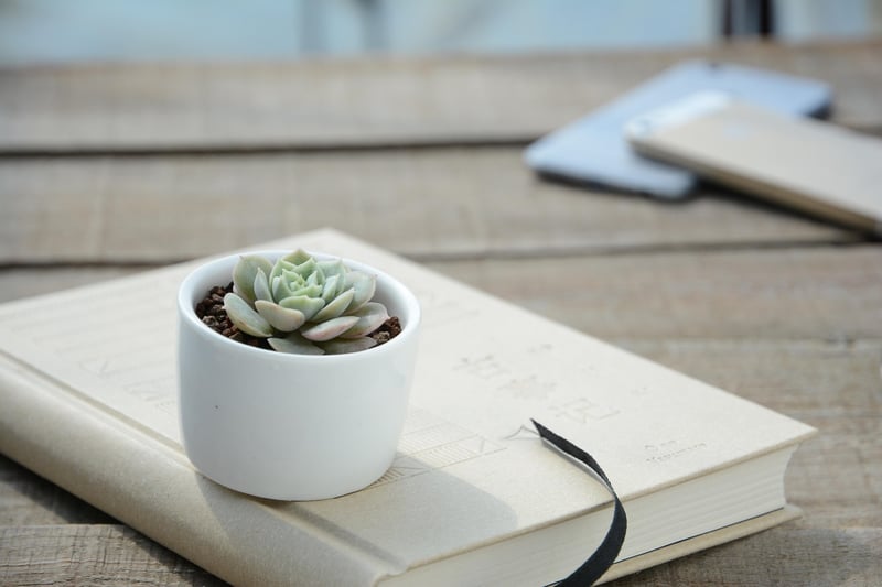 Ladder Plant Stand
