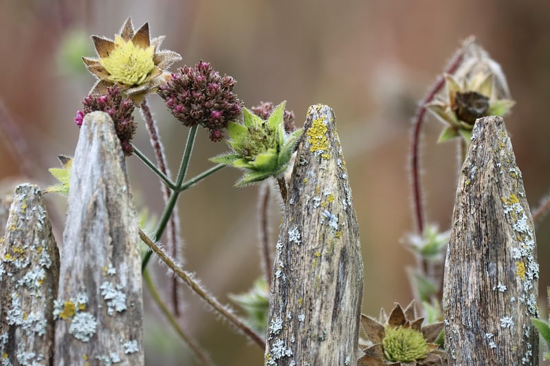 Gardeners connecting